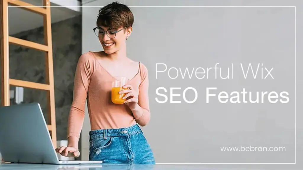 Simplified And Powerful Page Level Seo Settings