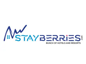 Stay Berries Feature Image