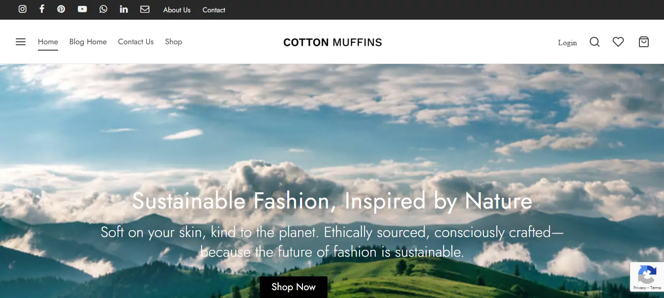 Main Website